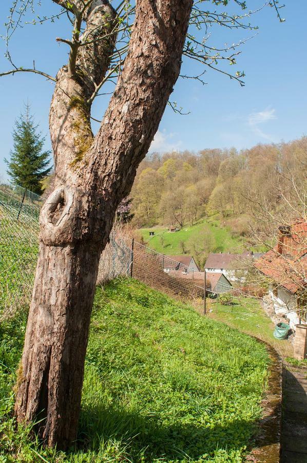 Platell Ferienhaeuser Harz Lerbach Exterior foto